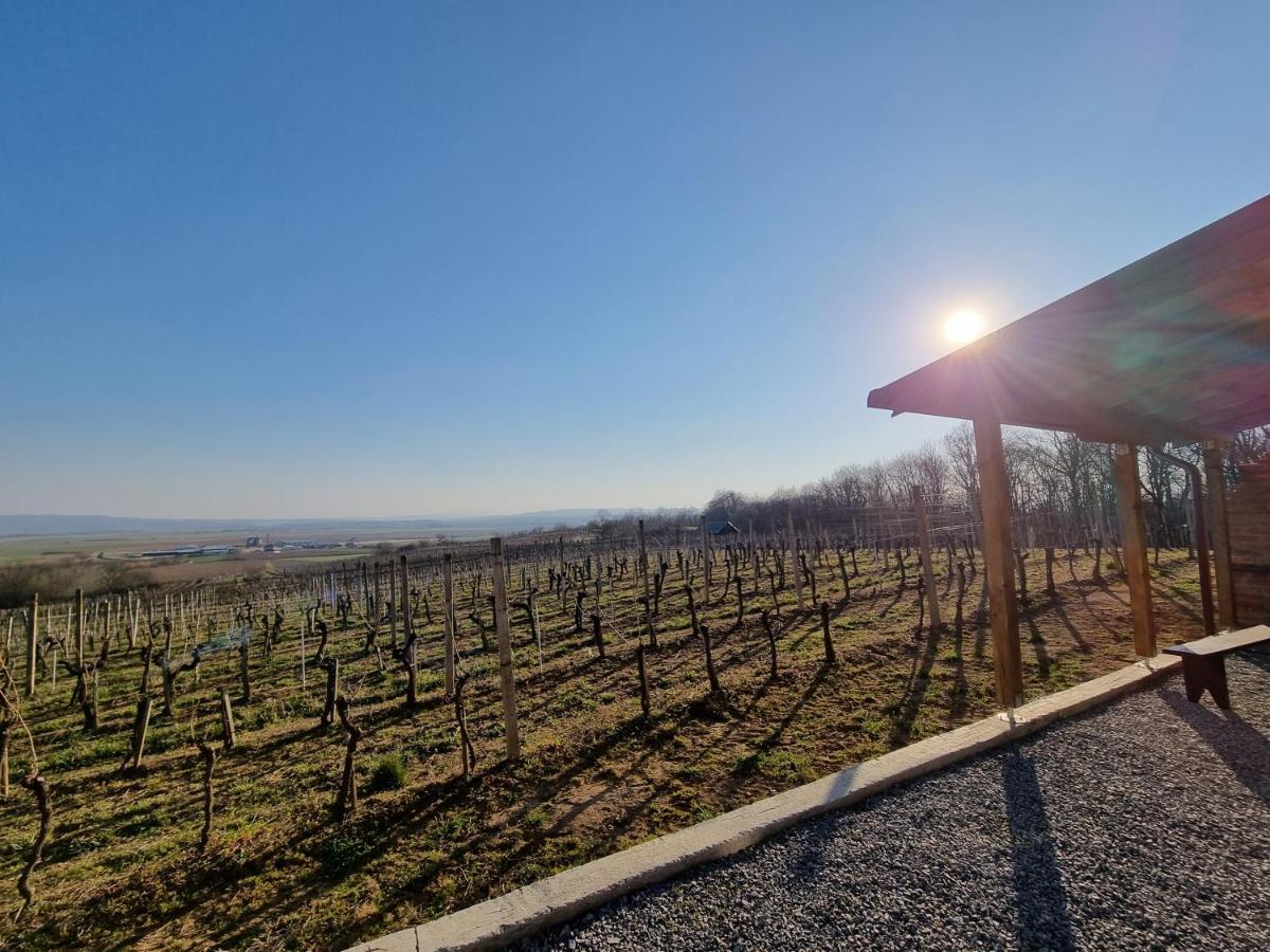 Kuca Za Odmor Baron Villa Kutjevo Dış mekan fotoğraf