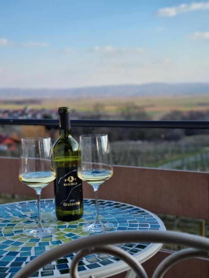 Kuca Za Odmor Baron Villa Kutjevo Dış mekan fotoğraf