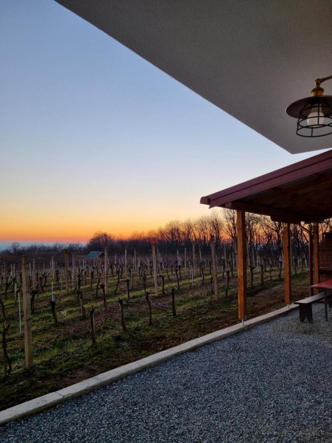 Kuca Za Odmor Baron Villa Kutjevo Dış mekan fotoğraf