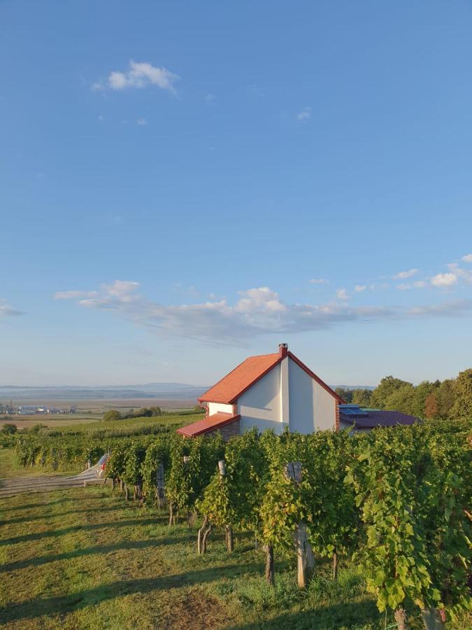 Kuca Za Odmor Baron Villa Kutjevo Dış mekan fotoğraf